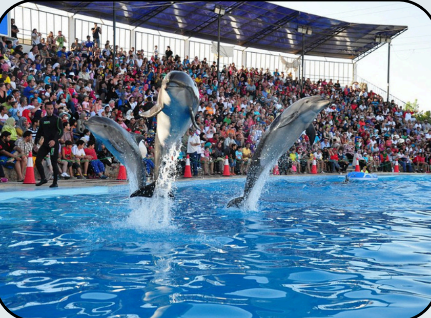 Screenshot 2025-11-26 121108