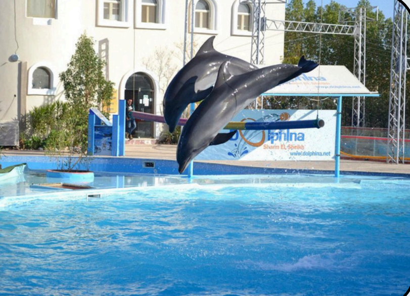 Screenshot 2025-11-26 121227