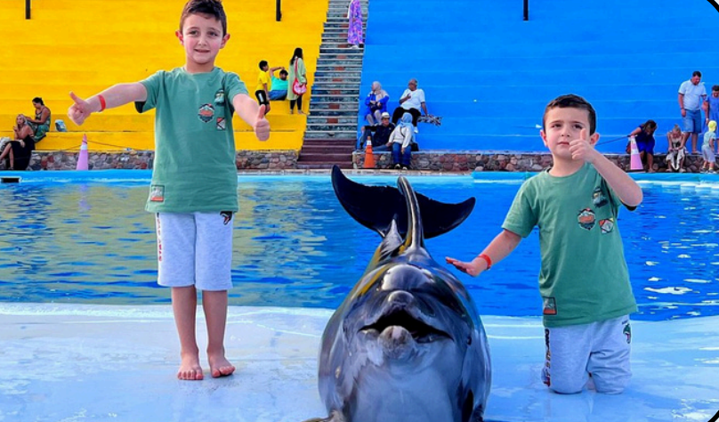 Screenshot 2025-11-26 121246