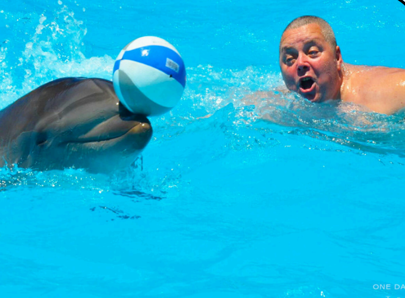 Screenshot 2025-11-26 121302