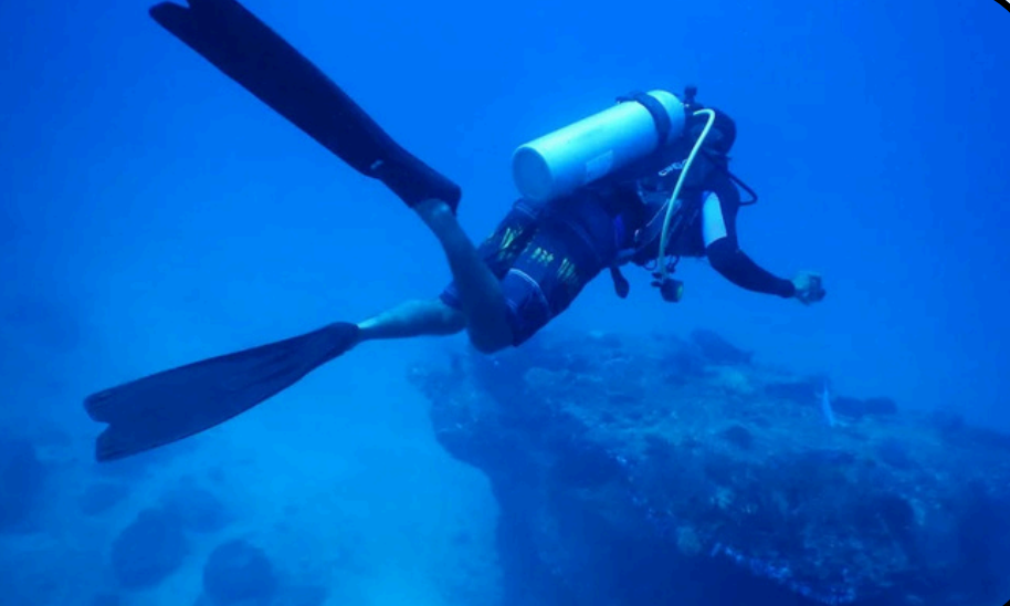 Screenshot 2025-11-26 121539