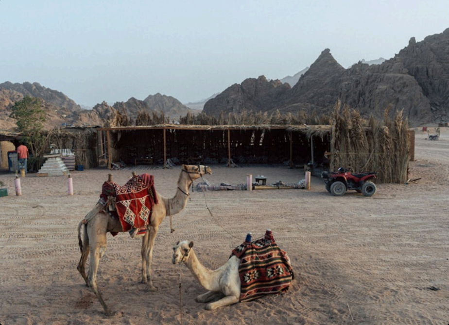 Screenshot 2025-11-26 122614